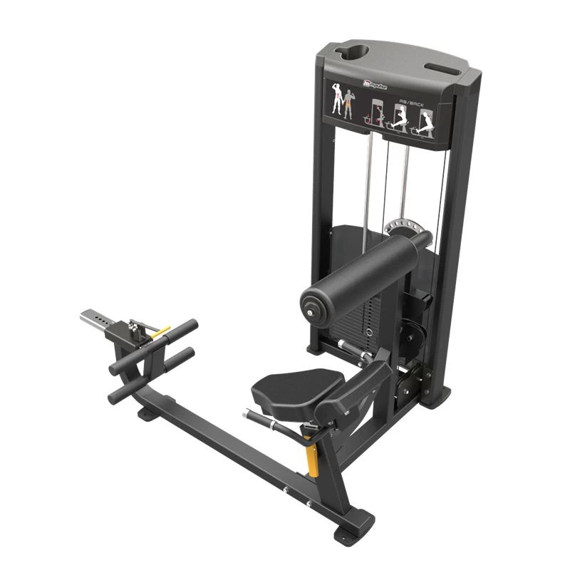 Impulse IF93 Dual Abdominal And Back Extension Machine - Image 3