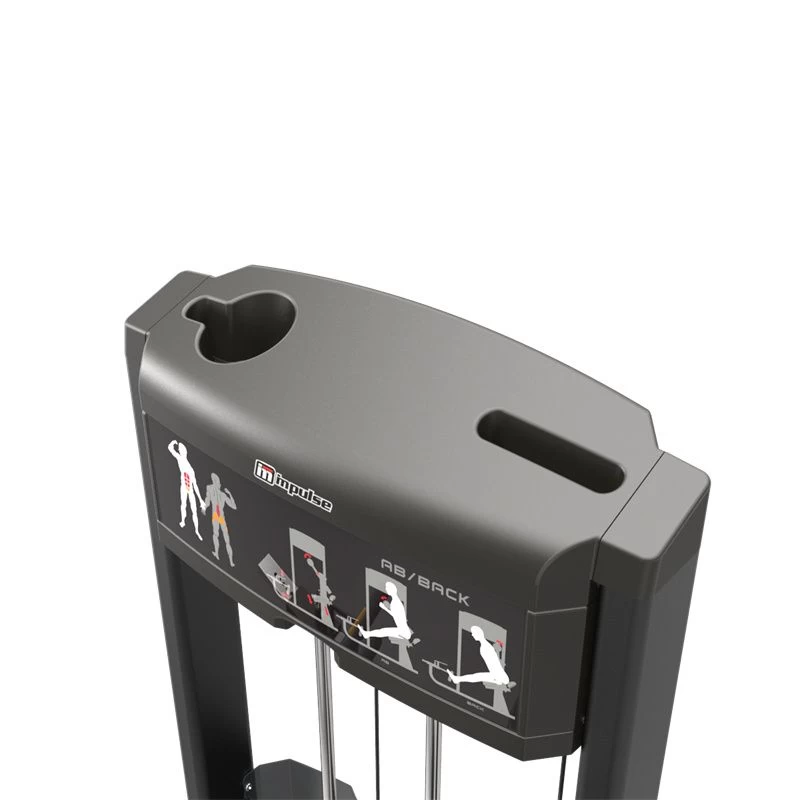 Impulse IF93 Dual Abdominal And Back Extension Machine - Image 5