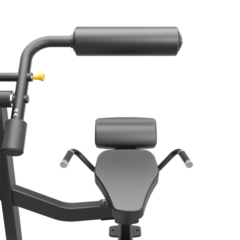 Impulse IF93 Dual Abdominal And Back Extension Machine - Image 4