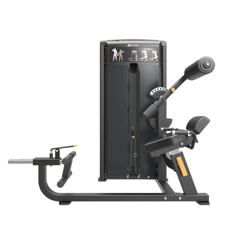 Impulse IF93 Dual Abdominal And Back Extension Machine - Image 2