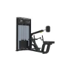 Impulse IF93 Seated Row Machine