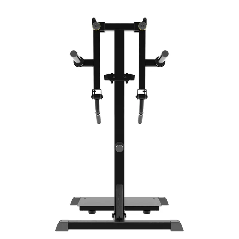 Impulse Standing Lateral Raise - Image 3