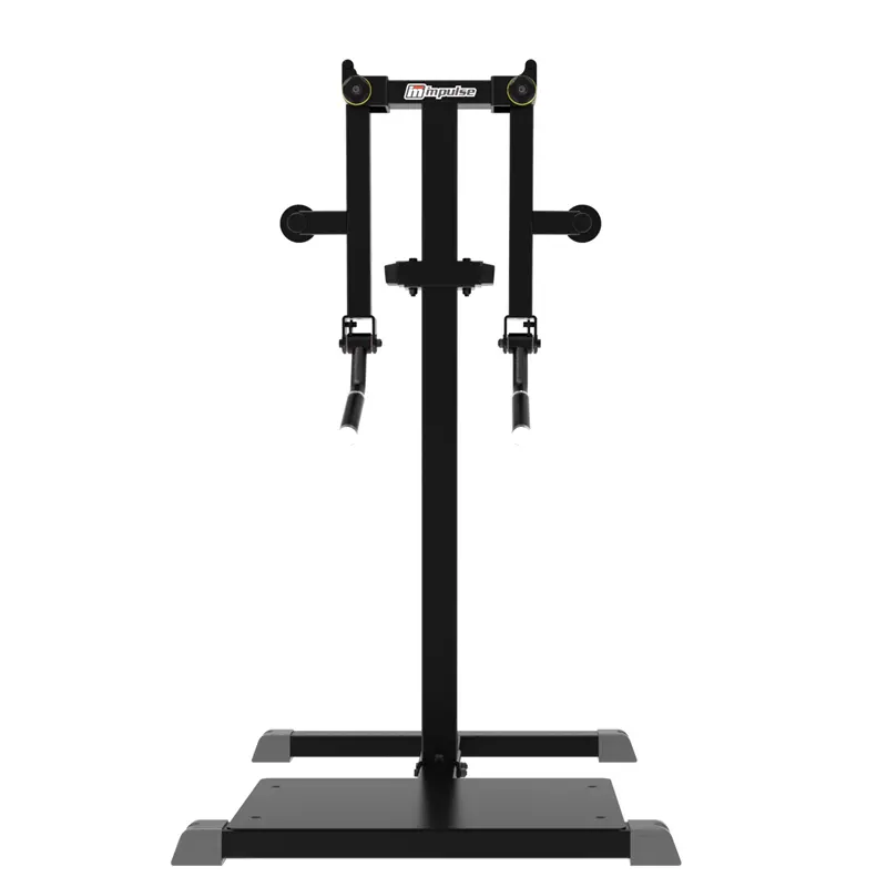 Impulse Standing Lateral Raise - Image 4