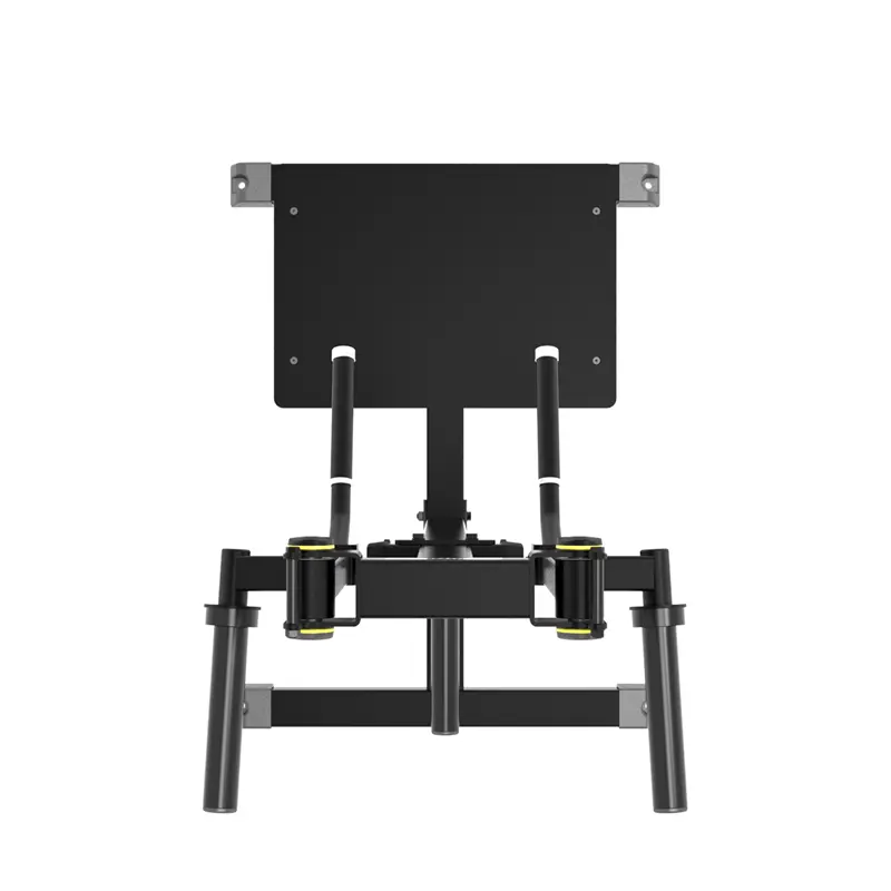 Impulse Standing Lateral Raise - Image 7