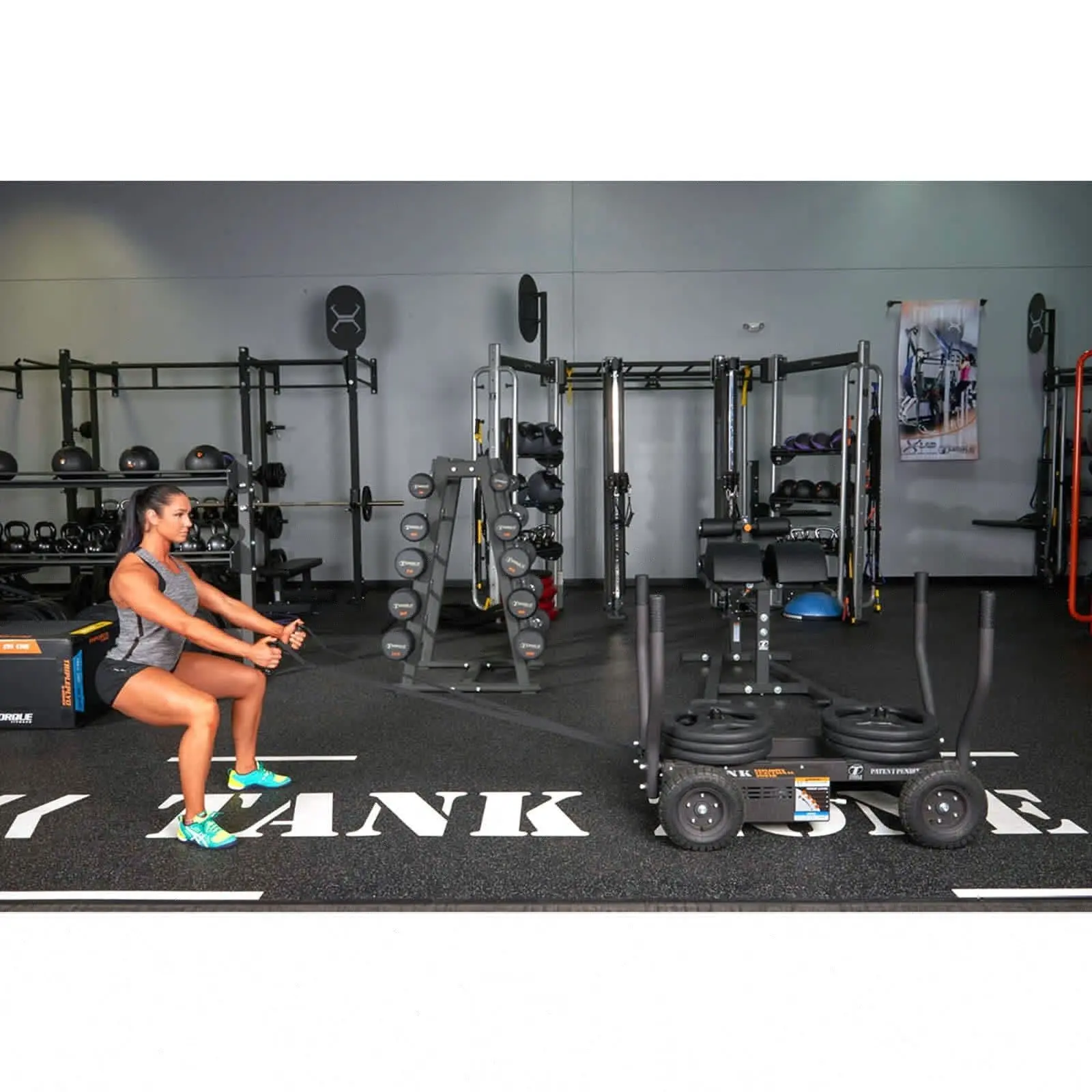 Tank Strap/Harness Tow Kit - Image 5